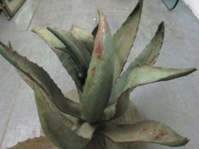 Large Brutalist Iron Cactus Sculpture