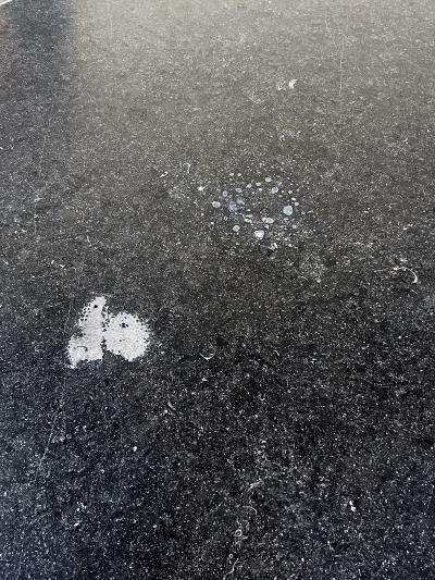 Large Carved Belgian Bluestone Round Dining Center Table w Baluster Form Base