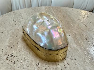 Large Decorative Mother of Pearl and Brass Lidded Box 1970s