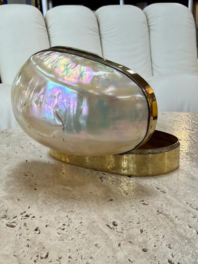 Large Decorative Mother of Pearl and Brass Lidded Box 1970s