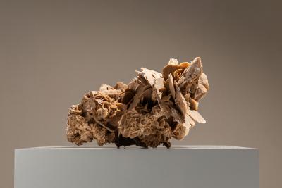 Large Desert Rose from Tunesia