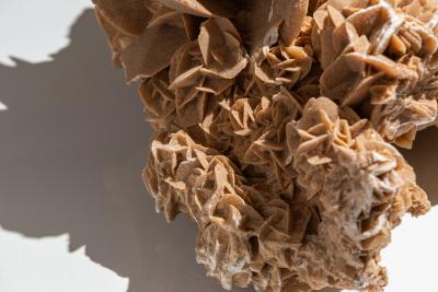 Large Desert Rose from Tunesia