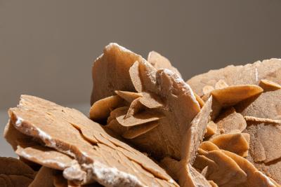 Large Desert Rose from Tunesia