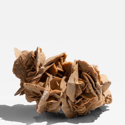 Large Desert Rose from Tunesia