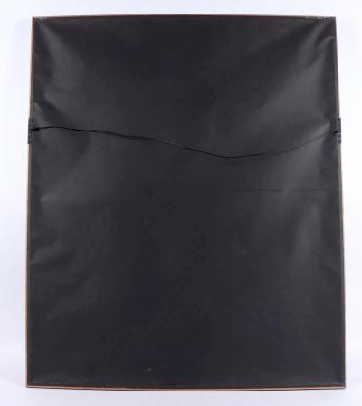 Large Framed Stunning Antique Chinese Embroidered Robe Qing Dynasty