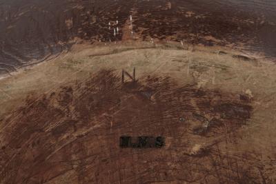 Large Irregular Shaped Swedish Rootwood Bowl