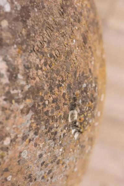 Large Italian 19th Century Planter with Lateral Handles and Generous Lines