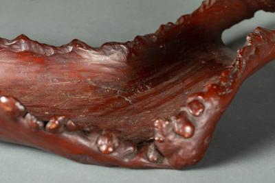 Large Natural Burl Wood Tray