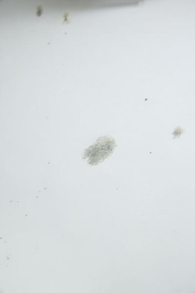 Large Octagonal Mirror