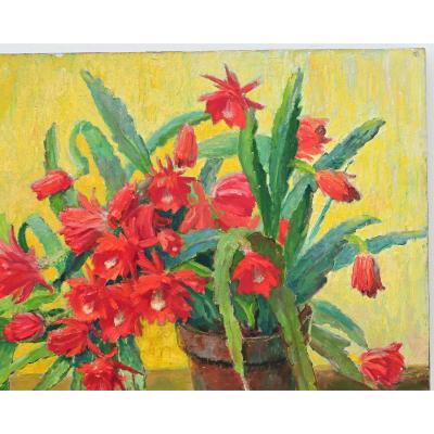Large Oil Painting of Christmas Cactus on Board