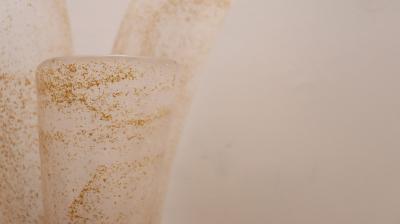 Large Pair of Murano Wall Sconces With Gold Flakes Details