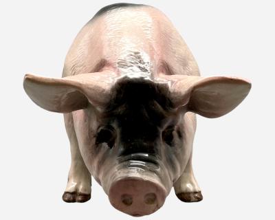 Large Pig In Ceramic Normandy France Circa 1930