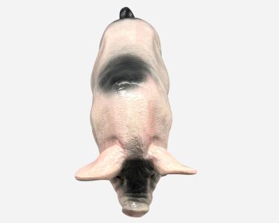 Large Pig In Ceramic Normandy France Circa 1930