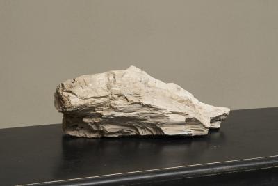 Large Prehistoric Natural Piece of Petrified Wood