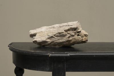 Large Prehistoric Natural Piece of Petrified Wood
