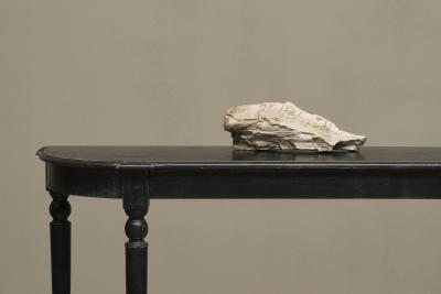 Large Prehistoric Natural Piece of Petrified Wood