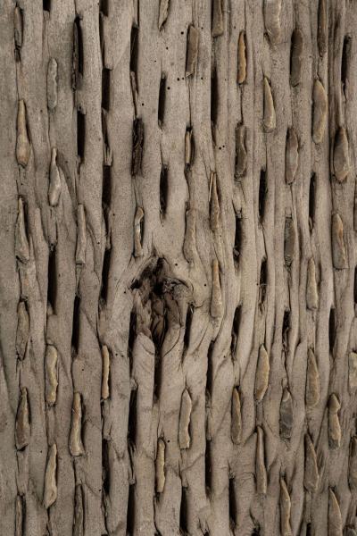 Large Primitive Bleached Walnut and Flint Grain Thresher
