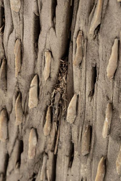 Large Primitive Bleached Walnut and Flint Grain Thresher
