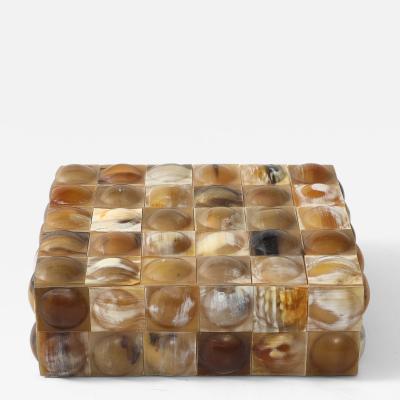 Large Raised Dot Horn Box