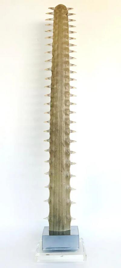 Large Sawfish Bill Rostrum Trophy Mounted on Chrome Lucite 1970s