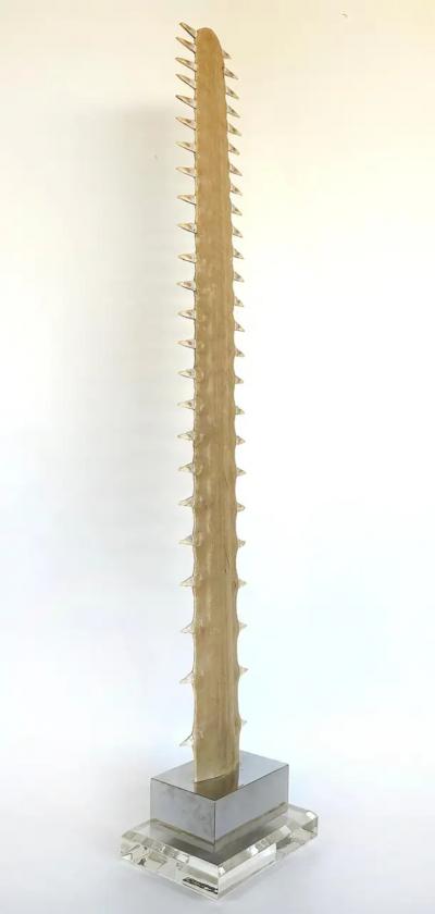 Large Sawfish Bill Rostrum Trophy Mounted on Chrome Lucite 1970s