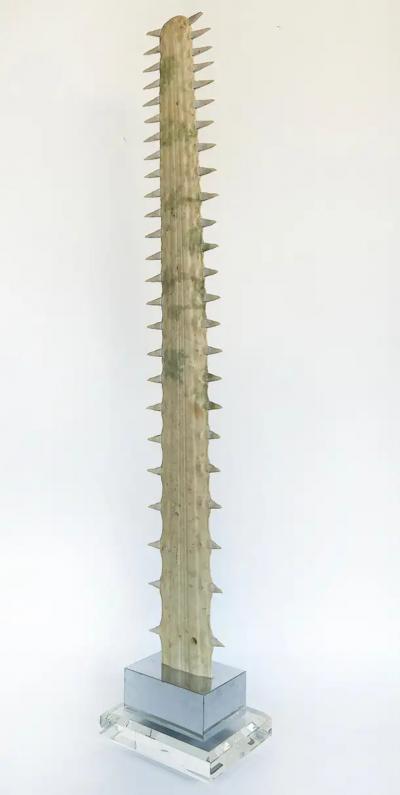 Large Sawfish Bill Rostrum Trophy Mounted on Chrome Lucite 1970s