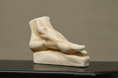 Large Scale Anatomical Study of a Foot in Plaster 1950s