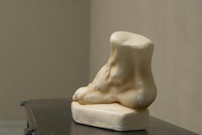 Large Scale Anatomical Study of a Foot in Plaster 1950s