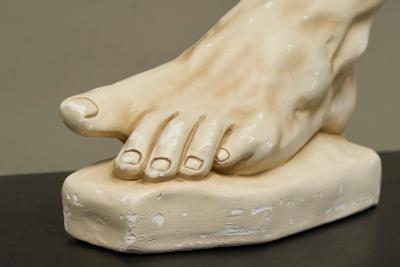Large Scale Anatomical Study of a Foot in Plaster 1950s