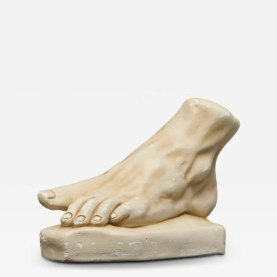 Large Scale Anatomical Study of a Foot in Plaster 1950s