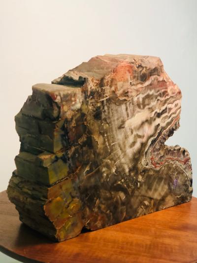 Large Scale petrified Wood Sculptures