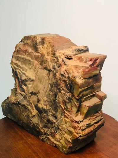 Large Scale petrified Wood Sculptures