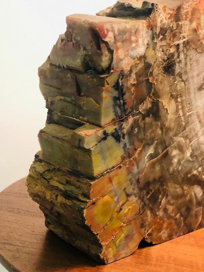 Large Scale petrified Wood Sculptures