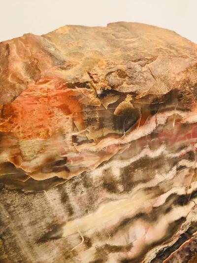Large Scale petrified Wood Sculptures