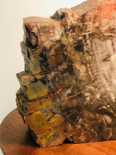 Large Scale petrified Wood Sculptures