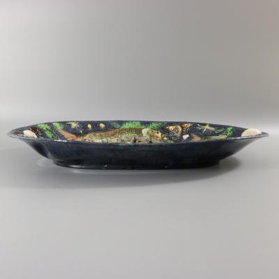Large School of Paris Palissy Majolica Wall Platter With Snake And Fish