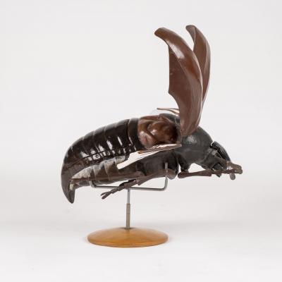 Large Sculpture of Insect in Flight