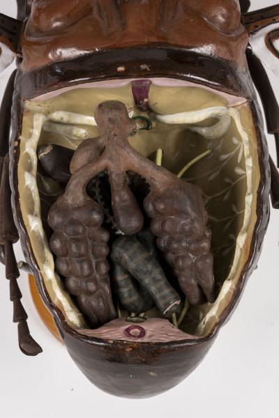 Large Sculpture of Insect in Flight