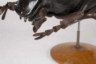 Large Sculpture of Insect in Flight