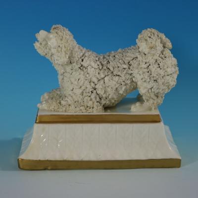 Large Staffordshire Pottery Porcellaneous Poodle