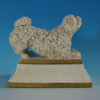 Large Staffordshire Pottery Porcellaneous Poodle