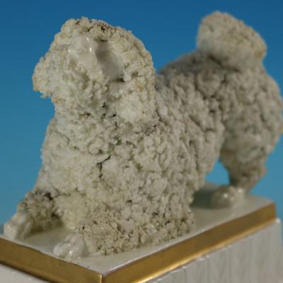 Large Staffordshire Pottery Porcellaneous Poodle