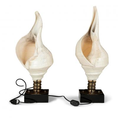 Large Vintage Conch Shell Lamps