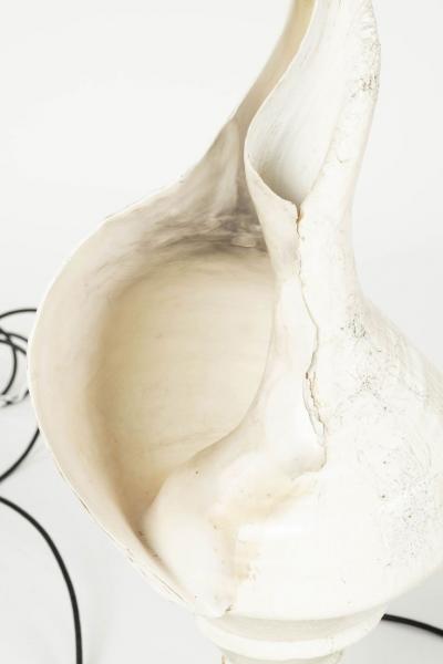 Large Vintage Conch Shell Lamps