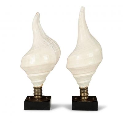 Large Vintage Conch Shell Lamps