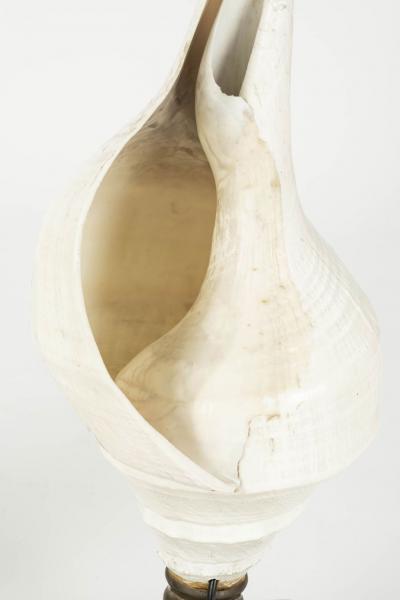Large Vintage Conch Shell Lamps