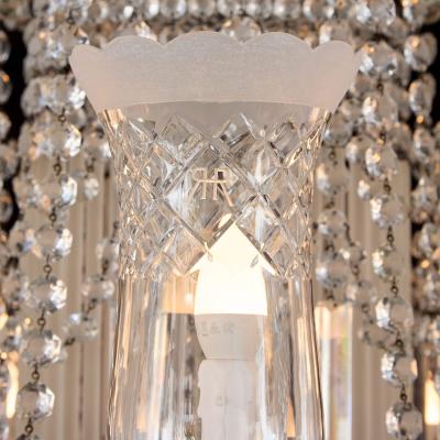 Large and Impressive Bohemian Cut and Frosted Glass Chandelier