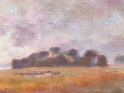 Larry Horowitz Rainy Marsh 