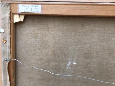 Larry Horowitz Rainy Marsh 