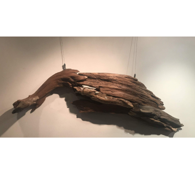 Larry Ringgold Blue Whale